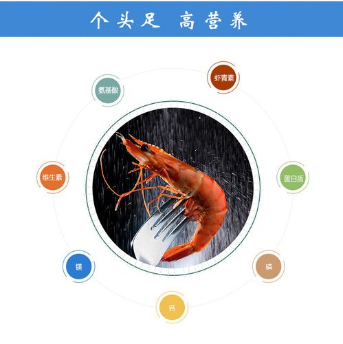 养南美白对虾技术周期-图2