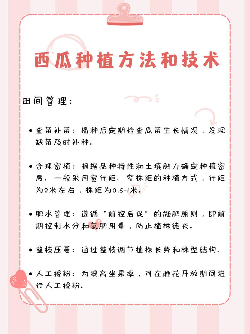 农业种植技术怎么学？新手从哪入手？-图2