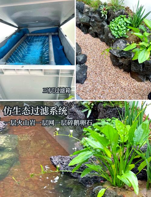 鱼苗孵化池怎么建？技术要点有哪些？-图1