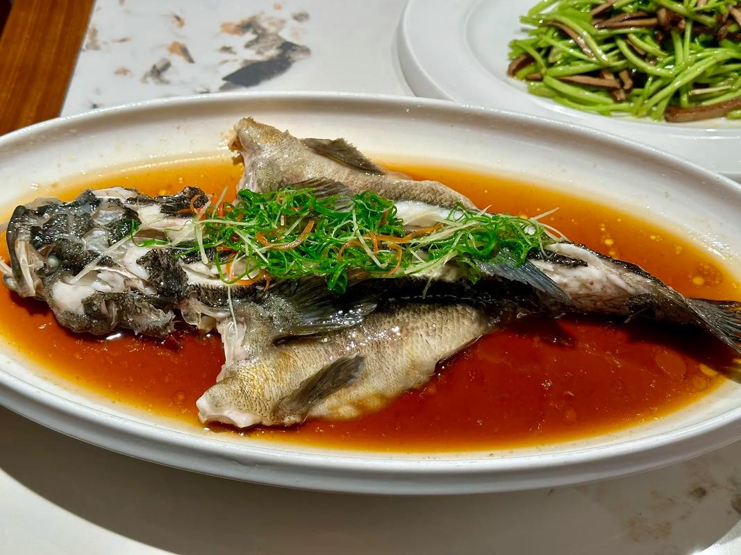 酒店笋壳鱼的养殖技术-图2