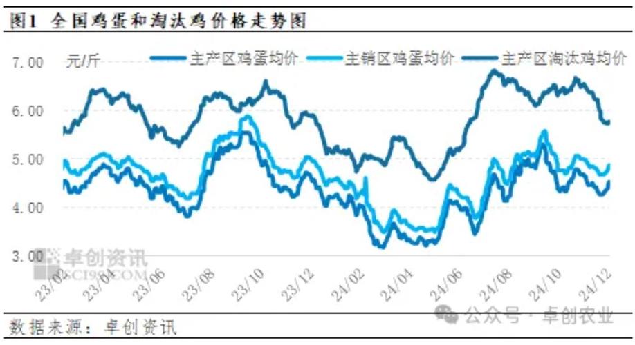 浠水淘汰鸡现在什么价?-图3 浠水淘汰鸡现在什么价?-图3