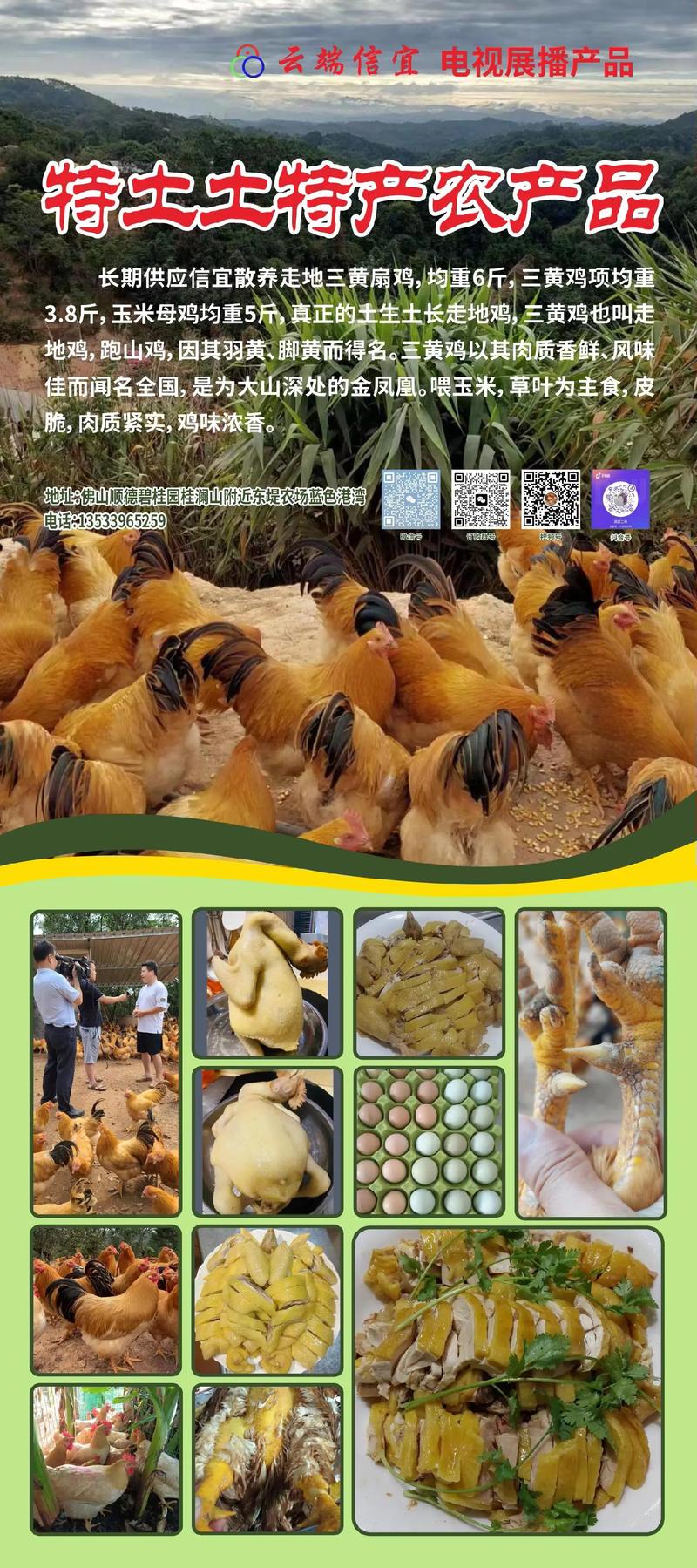 浠水淘汰鸡现在什么价?-图2 浠水淘汰鸡现在什么价?-图2