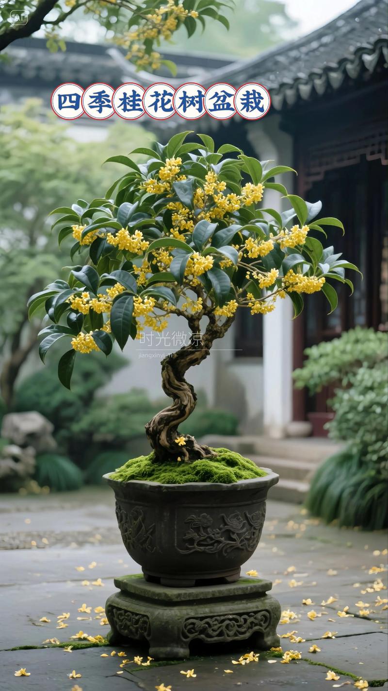 哪种桂花树品种最适合食用？-图3