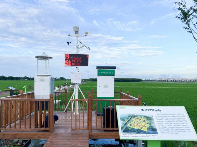 智能天地如何种草养鹅?技术要点有哪些?-图2 智能天地如何种草养鹅?技术要点有哪些?-图2