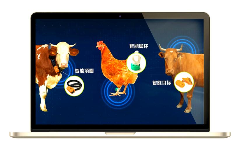 智能天地如何种草养鹅?技术要点有哪些?-图1 智能天地如何种草养鹅?技术要点有哪些?-图1