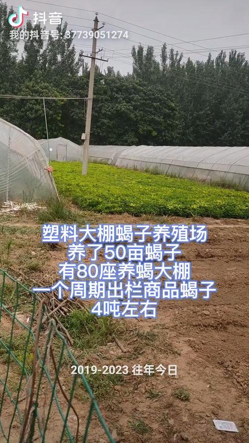 蝎子的价格与养殖技术-图2