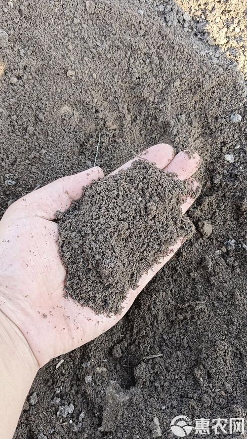 蚯蚓和猪粪的养殖技术-图3