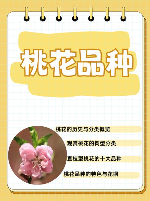 单瓣桃花有哪些常见品种？-图1