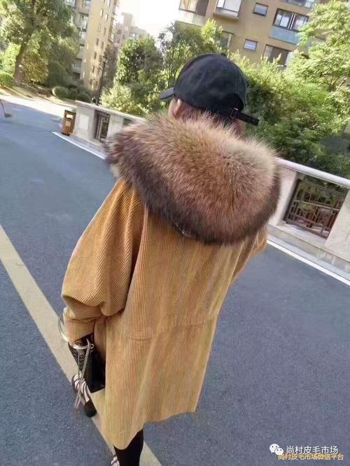 未来几年貉子皮价格会涨还是跌？-图1