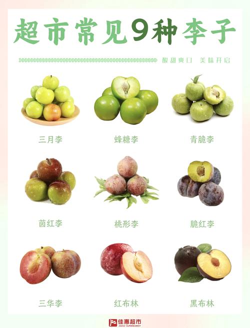 最好的李子品种是什么-图1