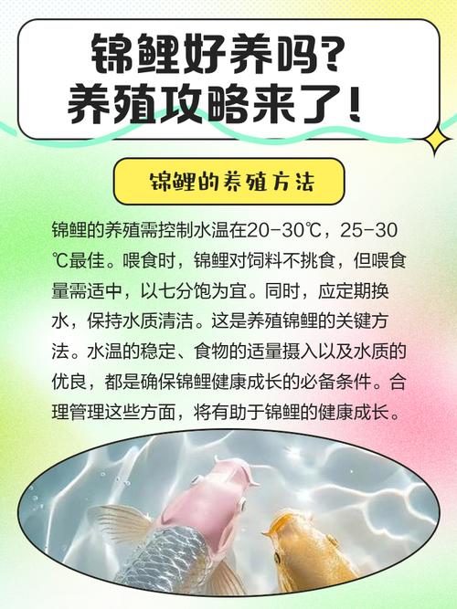 鲤鱼养殖技术视频，新手该怎么学？-图1