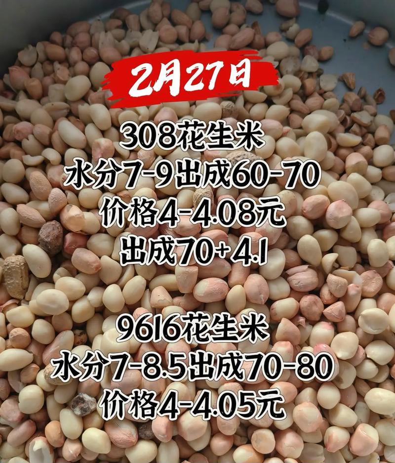 今日全国花生价格行情如何?-图3 今日全国花生价格行情如何?-图3