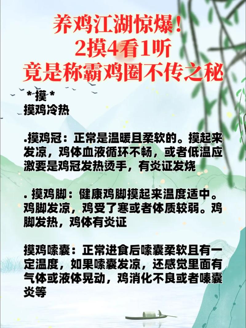 新手养鸡怎么养殖技术-图1