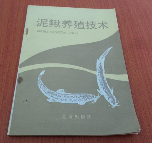 东北野生泥鳅养殖技术要点有哪些?-图2 东北野生泥鳅养殖技术要点有哪些?-图2