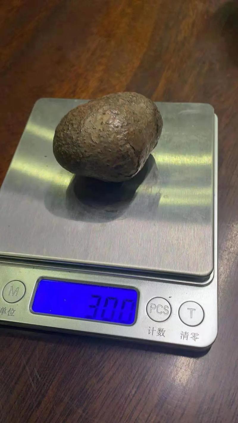 箭猪价格多少好销售吗-图1 箭猪价格多少好销售吗-图1