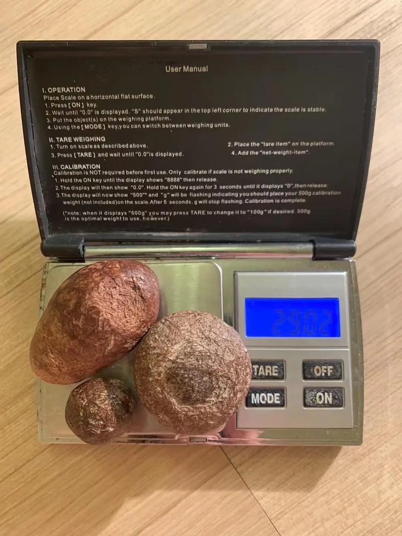 箭猪价格多少好销售吗-图2 箭猪价格多少好销售吗-图2