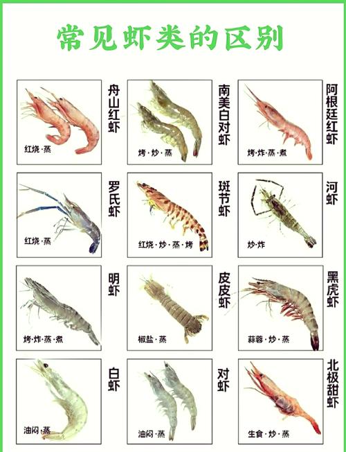 对虾健康养殖技术手册-图2 对虾健康养殖技术手册-图2