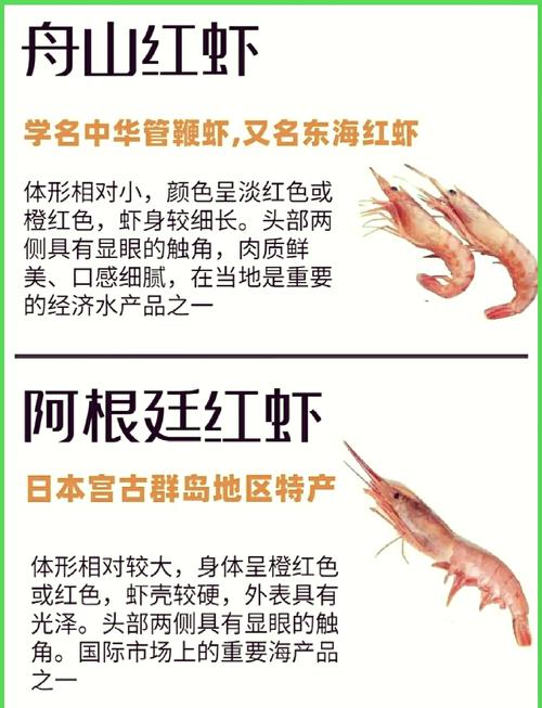 对虾健康养殖技术手册-图3 对虾健康养殖技术手册-图3