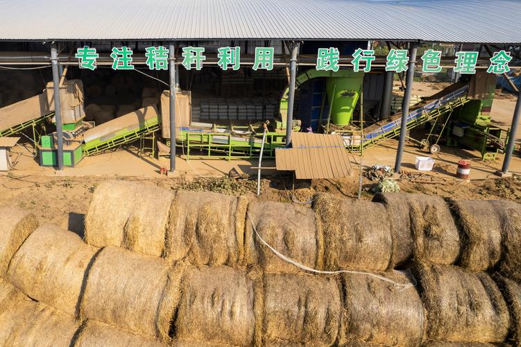水稻秸秆发酵技术视频怎么做？-图2