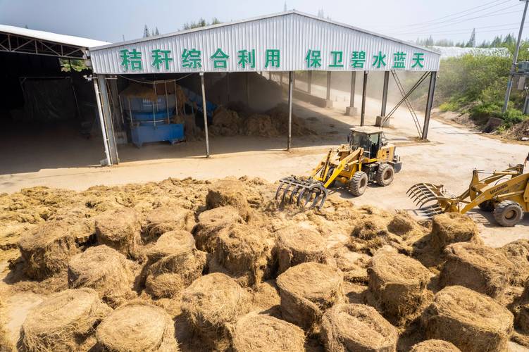 水稻秸秆发酵技术视频怎么做？-图3