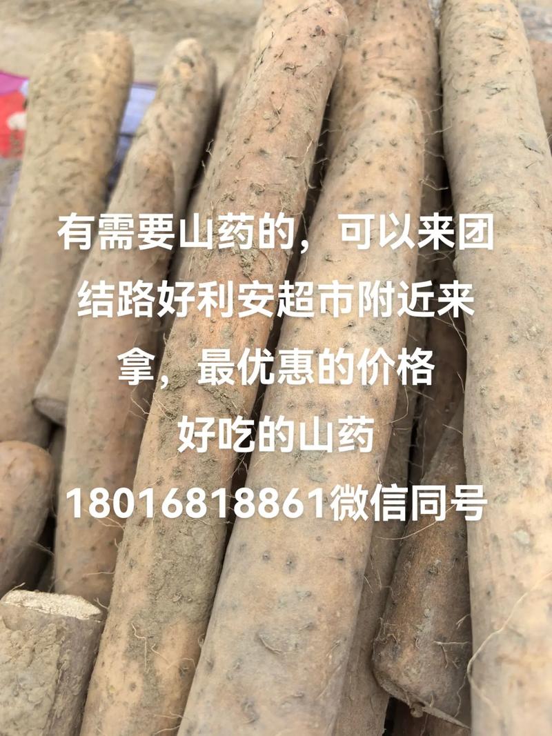 2025河北山药价格会涨还是跌?-图2 2025河北山药价格会涨还是跌?-图2