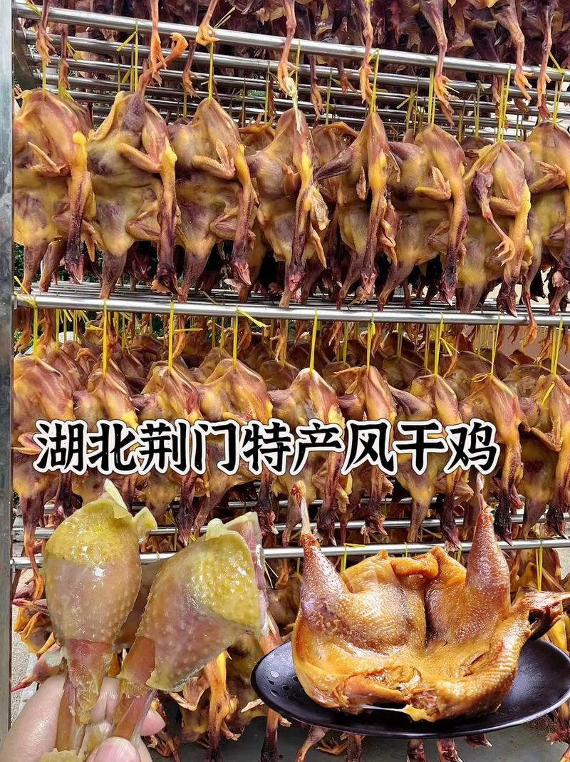 湖北土鸡养殖技术哪家最靠谱？-图2