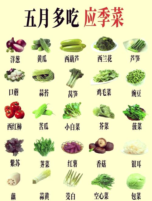 青菜品种何时最丰富？-图1