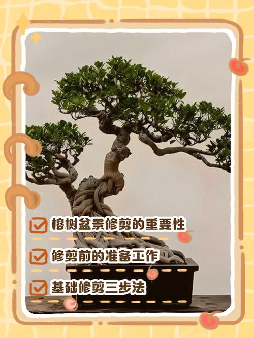 树桩盆景修剪技术流程是怎样的？-图1