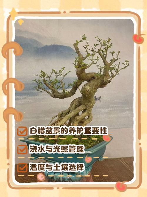 树桩盆景修剪技术流程是怎样的？-图2