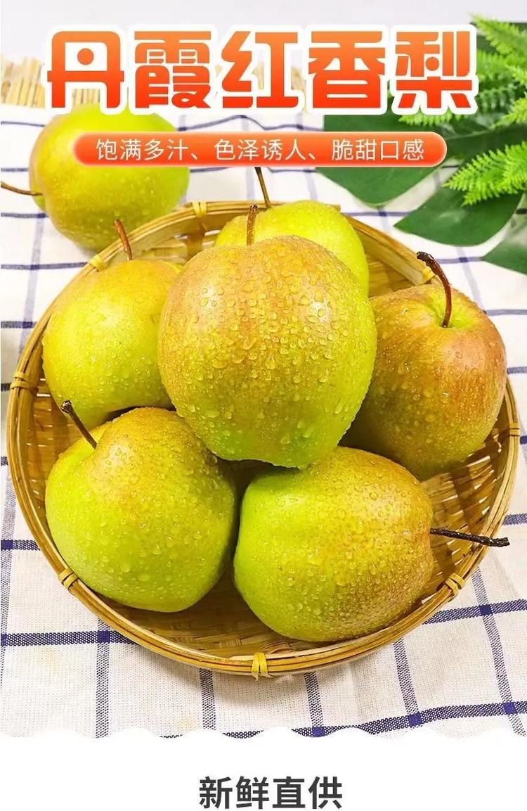 最新红梨品种有哪些？图片展示哪种最好看？-图2