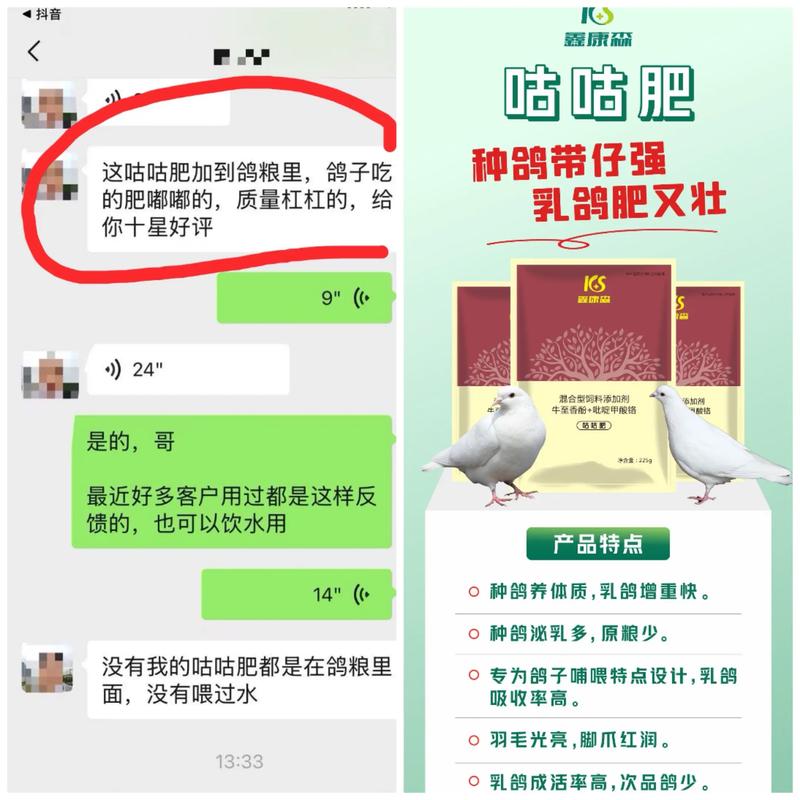 北京鸽子养殖加盟价格多少?-图3 北京鸽子养殖加盟价格多少?-图3