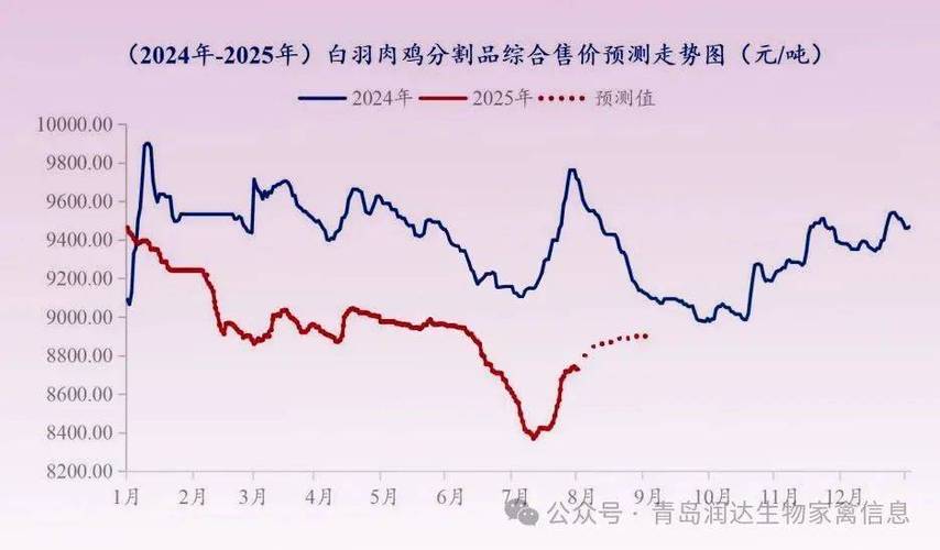 山东近期肉鸡价格走势-图2