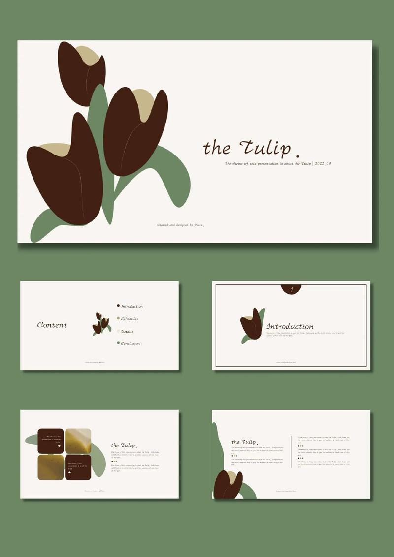 郁金香品种分类标准有哪些？-图2