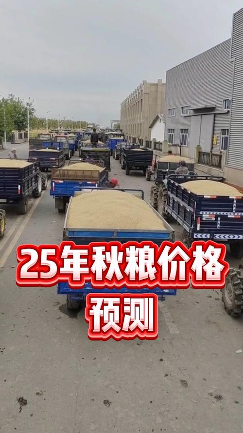 东北水稻价格未来会涨还是跌?-图2 东北水稻价格未来会涨还是跌?-图2