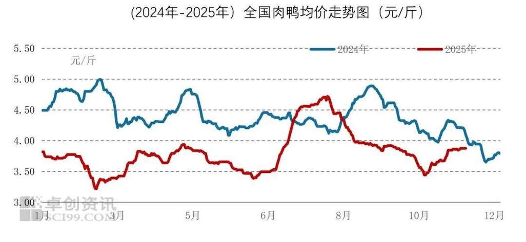 2025鸡苗价格为何大跌?-图3 2025鸡苗价格为何大跌?-图3
