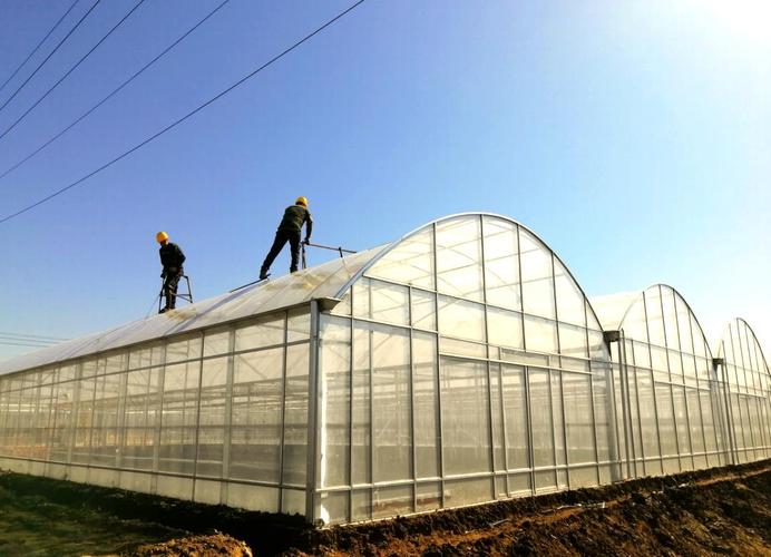 大棚冬季种植技术视频-图2 大棚冬季种植技术视频-图2