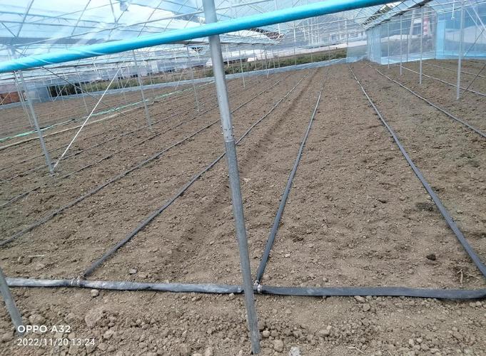 大棚冬季种植技术视频-图1 大棚冬季种植技术视频-图1