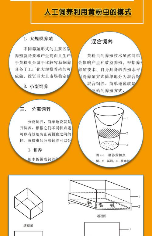养殖黄粉虫技术哪里能学？-图2