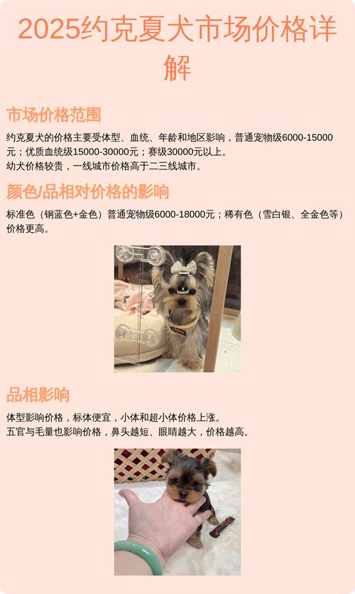 2025年犬价格趋势-图2