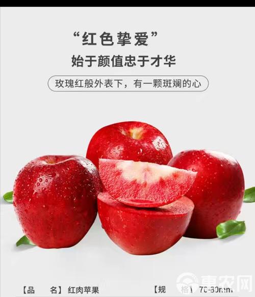 红色之爱种植技术视频,如何高效种植?-图1 红色之爱种植技术视频,如何高效种植?-图1