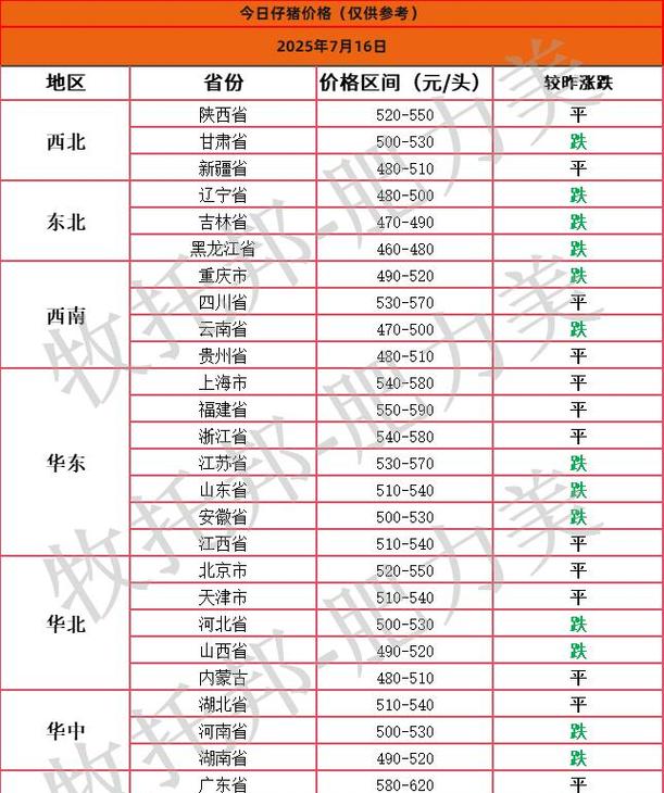 江苏猪仔最新价格多少钱一斤？-图1
