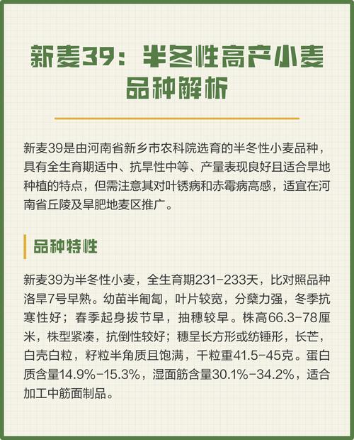 新冬34小麦品种有何特点与优势?-图2 新冬34小麦品种有何特点与优势?-图2