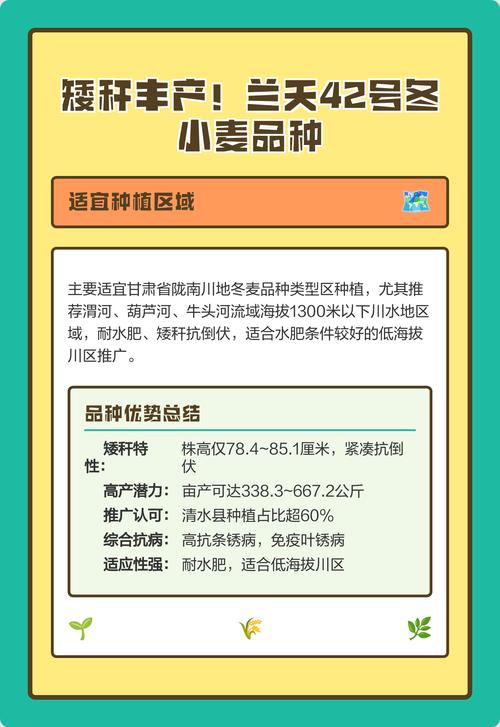 新冬34小麦品种有何特点与优势?-图3 新冬34小麦品种有何特点与优势?-图3