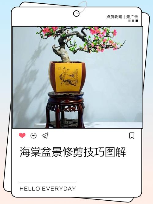 海棠水果盆栽如何修剪？-图2