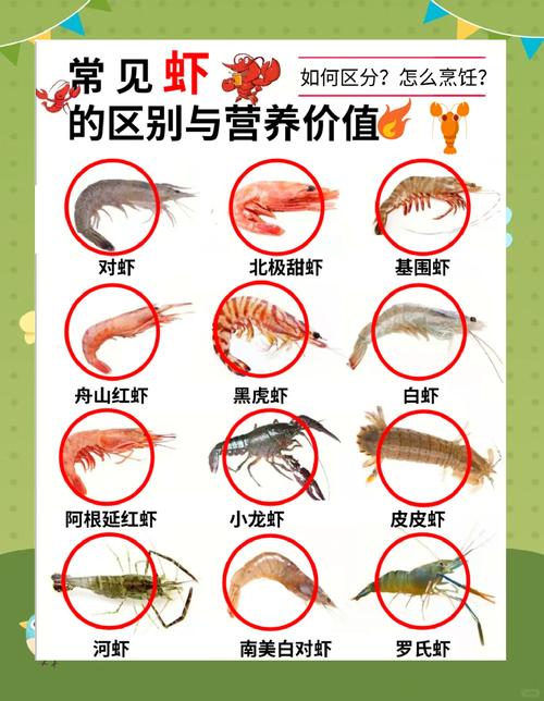 活海虾品种及图片大全-图1 活海虾品种及图片大全-图1