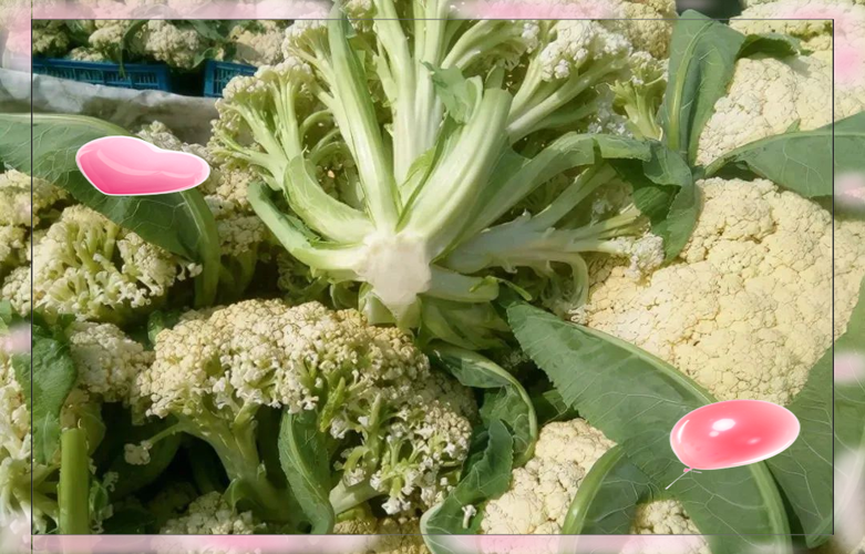 花菜类蔬菜有哪些品种-图2