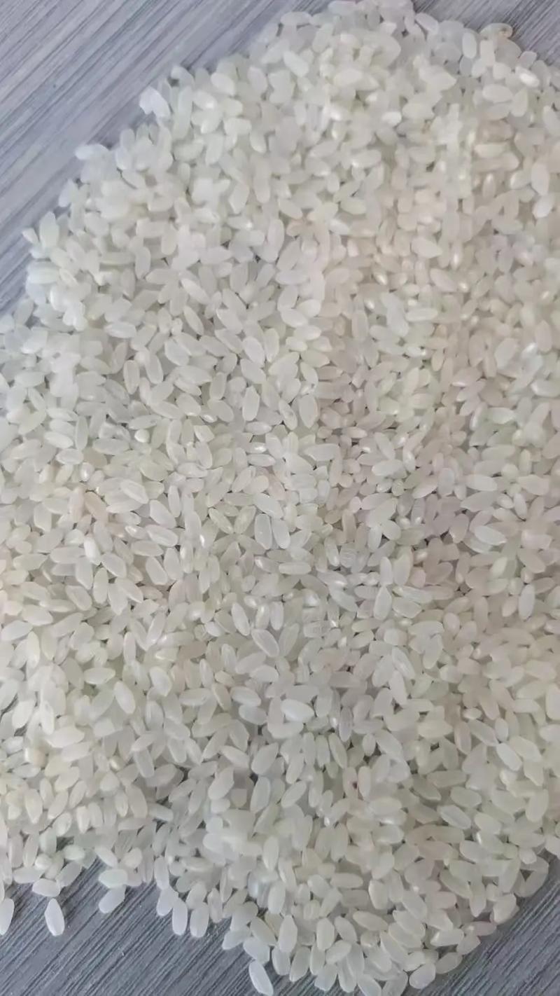 龙粳18水稻品种有何特点?-图3 龙粳18水稻品种有何特点?-图3