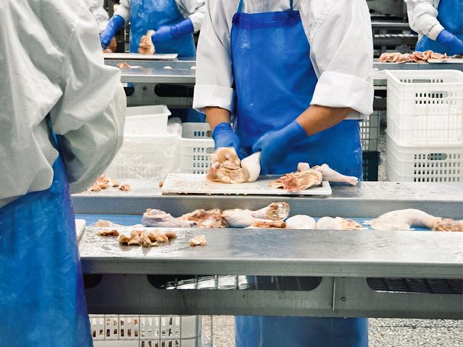 动物内脏加工饲料技术安全吗?-图1 动物内脏加工饲料技术安全吗?-图1