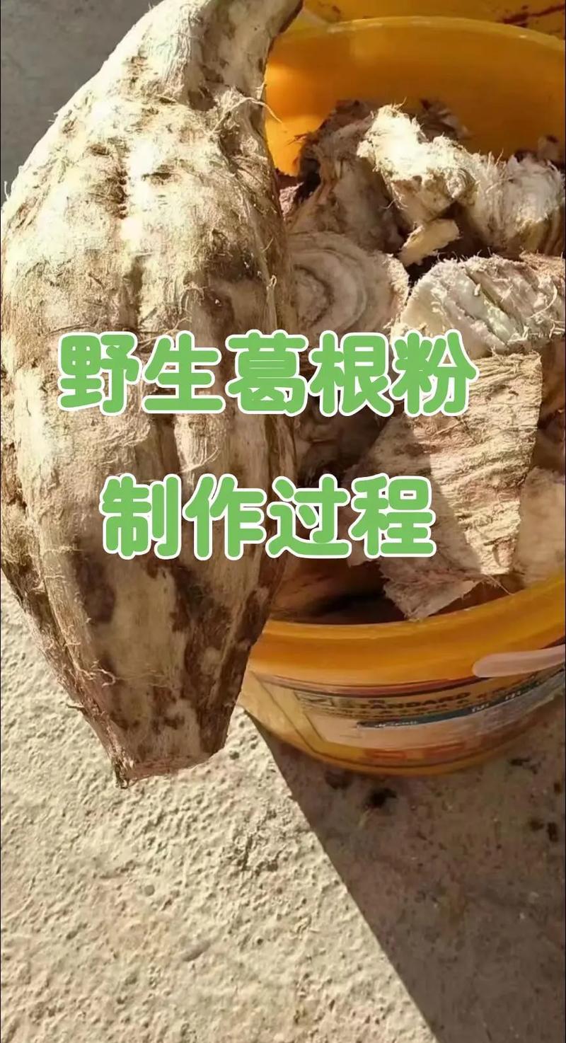 粉葛种植技术在线看，哪里能学？-图2