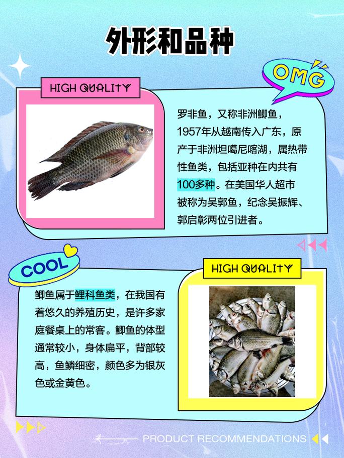 罗非鱼和鲫鱼养殖技术有何不同？-图1